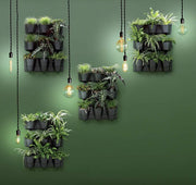JARDÍN VERTICAL CASCADE WALL 67 CM - Tumatera.co