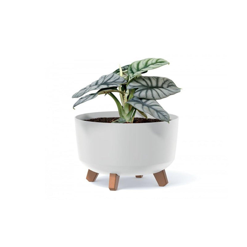 MATERA GRACIA LOW 24 X 16 CM - Tumatera.co