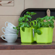 JARDINERA TWINS CUBE 24 CM - Tumatera.co