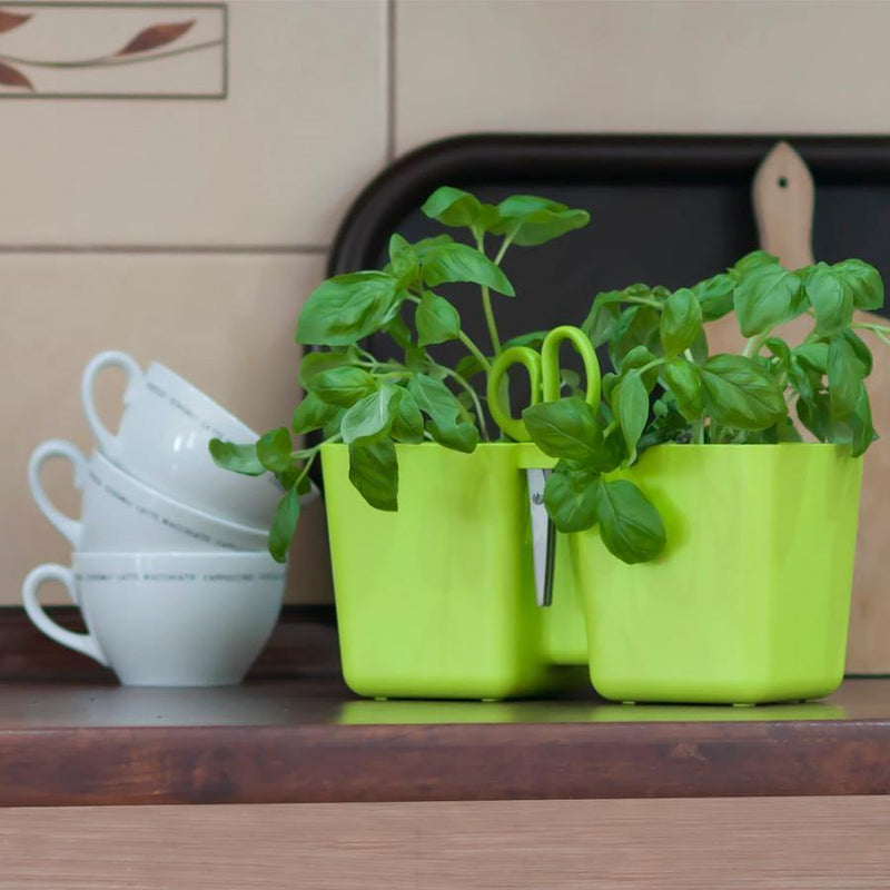 JARDINERA TWINS CUBE 24 CM - Tumatera.co