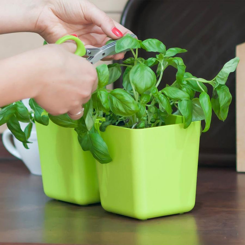 JARDINERA TWINS CUBE 24 CM - Tumatera.co