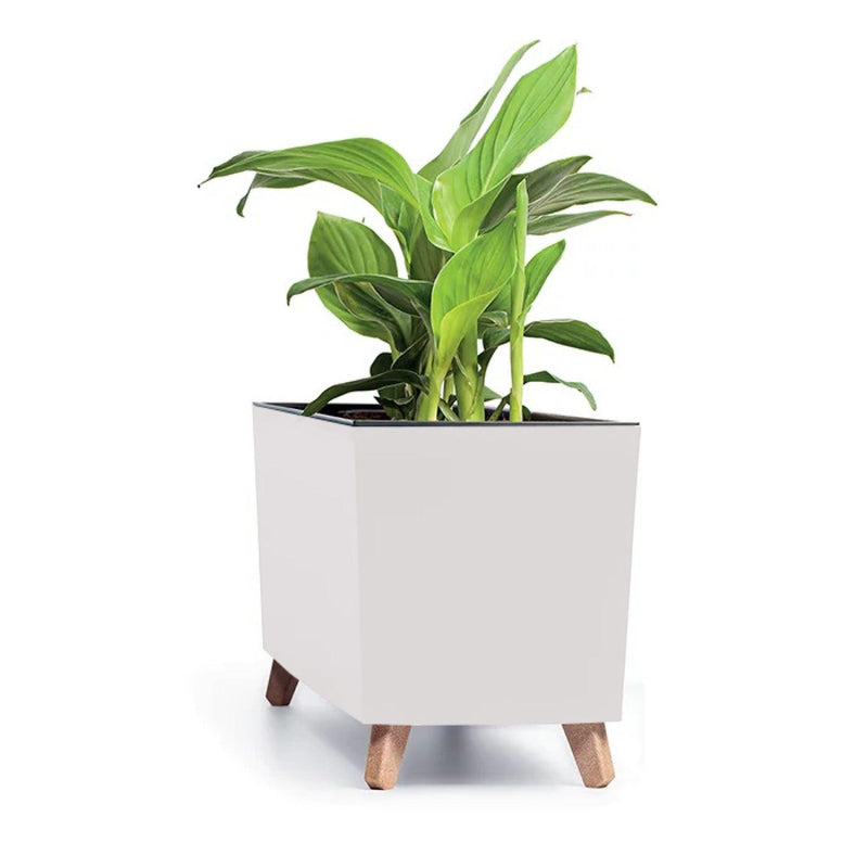 JARDINERA URBI CASE N 77 CM - Tumatera.co