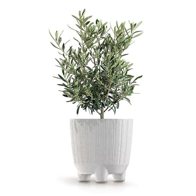 MATERA RYFON ECO 20 CM - Tumatera.co