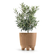 MATERA RYFON ECO 20 CM - Tumatera.co