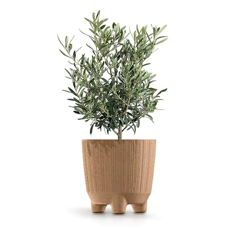 MATERA RYFON ECO 20 CM - Tumatera.co