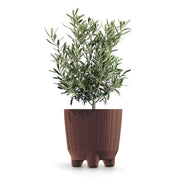 MATERA RYFON ECO 20 CM - Tumatera.co