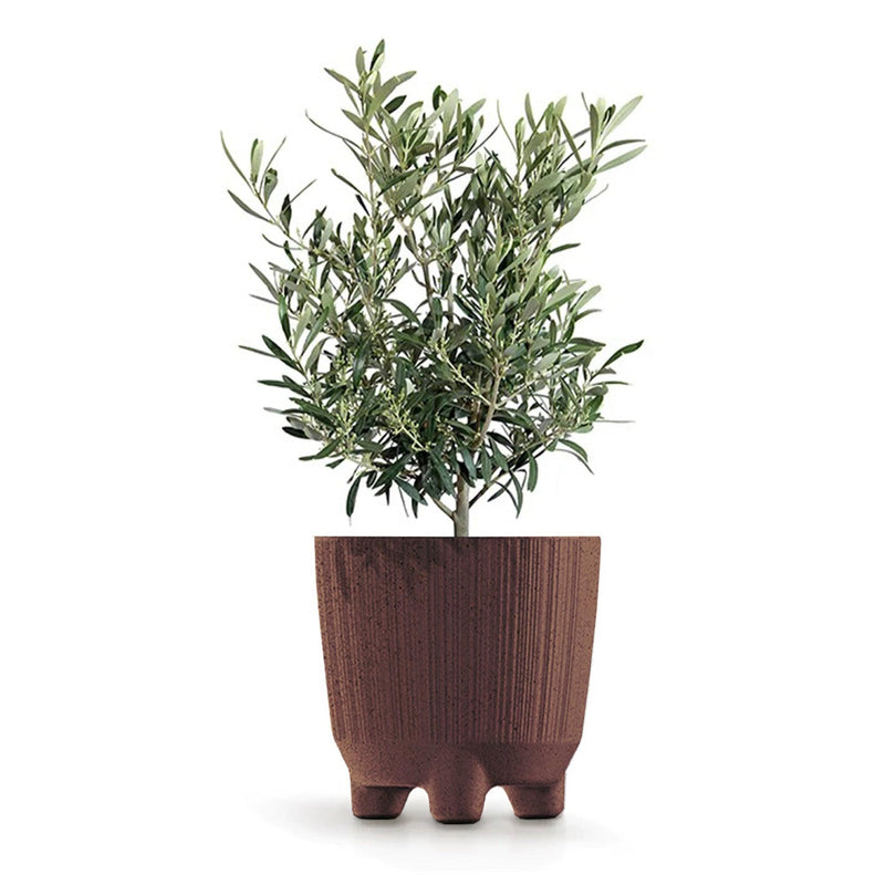 MATERA RYFON ECO 20 CM - Tumatera.co