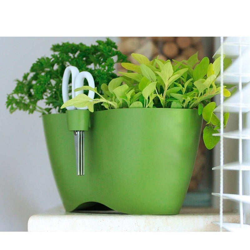 JARDINERA LIMES DUBLO 25 CM - Tumatera.co