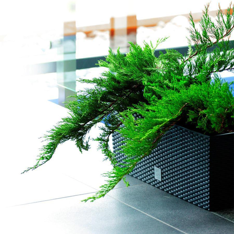 Jardinera Ratán con Autorriego 80 cm modo de uso