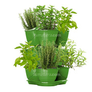 COMBO MATERA  COUBI HERBAL 38 CM CON AROMATICAS- Tumatera.co