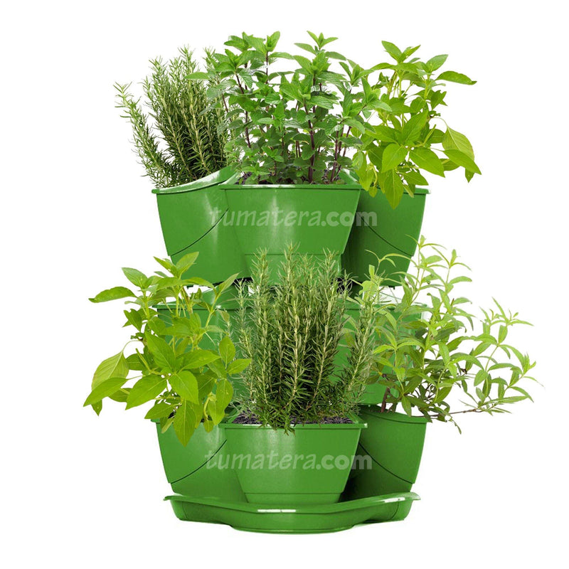 COMBO MATERA  COUBI HERBAL 38 CM CON AROMATICAS- Tumatera.co