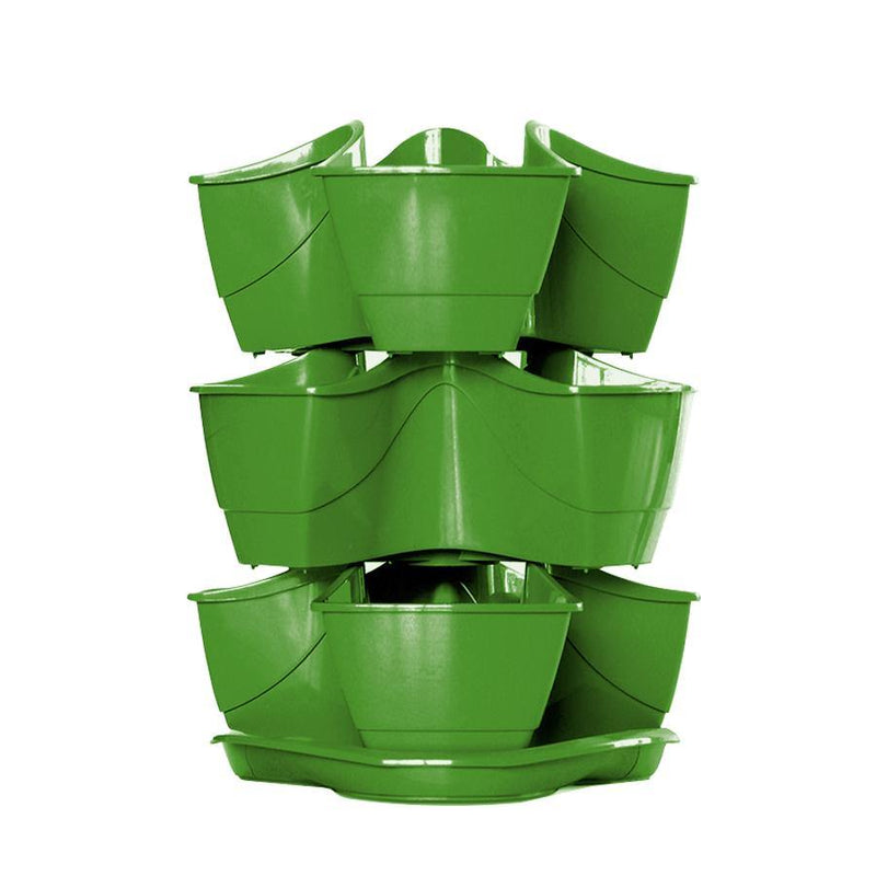 Matera Coubi Herbal 38 cm