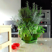 Matera Coubi Herbal 38 cm en uso