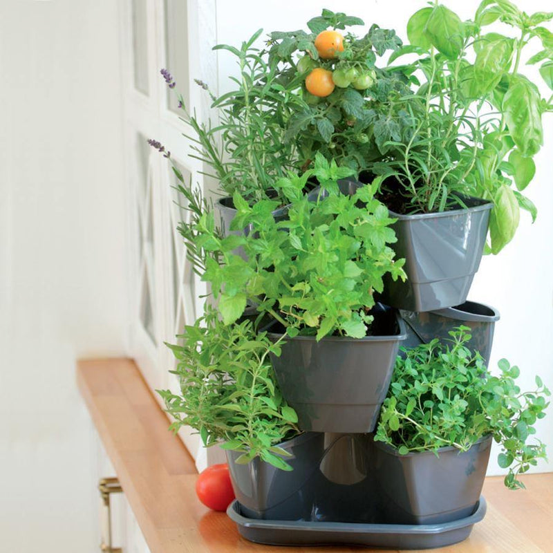 Matera Coubi Herbal 38 cm vista en uso