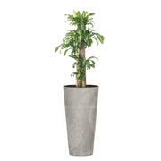 COMBO TUBUS BETON 57 CM CON PALO DE BRASIL - Tumatera.co