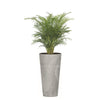 Combo Tubus Beton 57 Cm Con Palma Areca