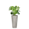 Combo Tubus Beton 57 Cm Con Balazo