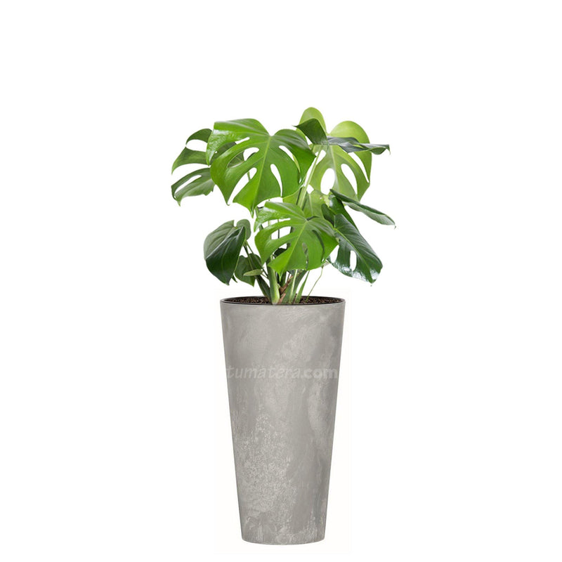 COMBO TUBUS BETON 57 CM CON BALAZO- Tumatera.co