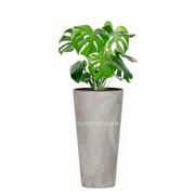 COMBO TUBUS BETON 76 CM CON BALAZO - Tumatera.co