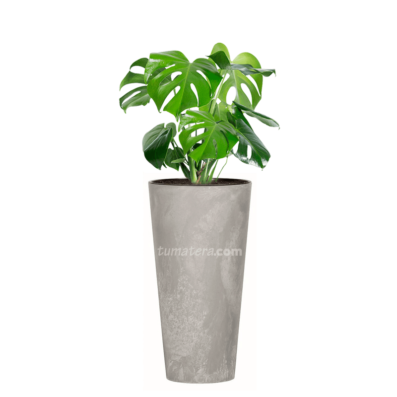 COMBO TUBUS BETON 76 CM CON BALAZO - Tumatera.co