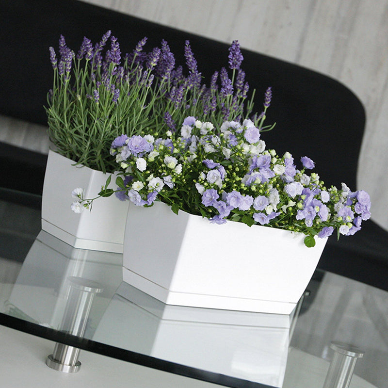 JARDINERA COUBI CASE 29 CM - Tumatera.co