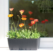 JARDINERA RATÁN CASE P 59 X 15 CM - Tumatera.co