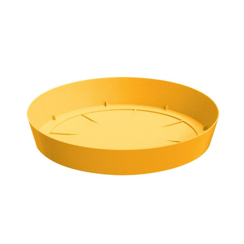 PLATO LOFLY 19 CM - Tumatera.co