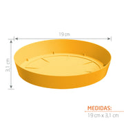PLATO LOFLY 19 CM - Tumatera.co