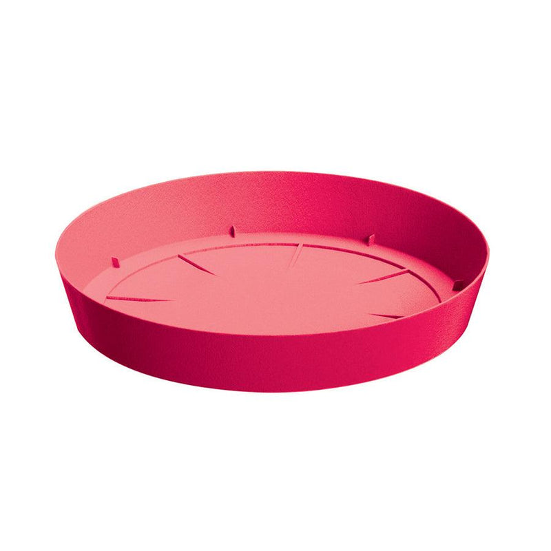 PLATO LOFLY 19 CM - Tumatera.co