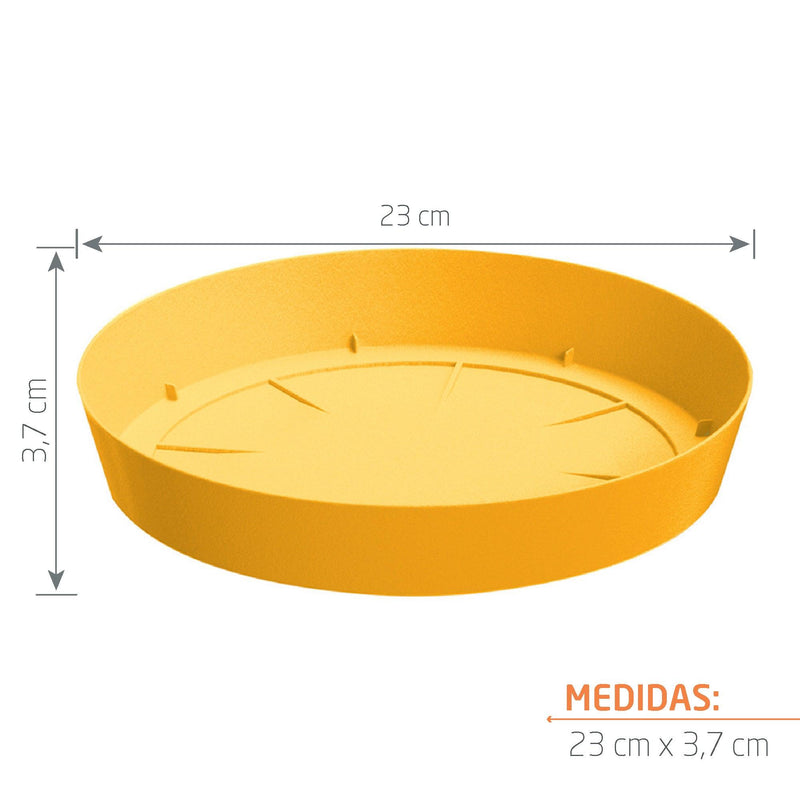 PLATO LOFLY 23 CM - Tumatera.co