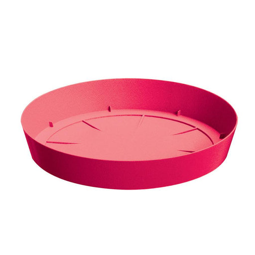 PLATO LOFLY 23 CM - Tumatera.co