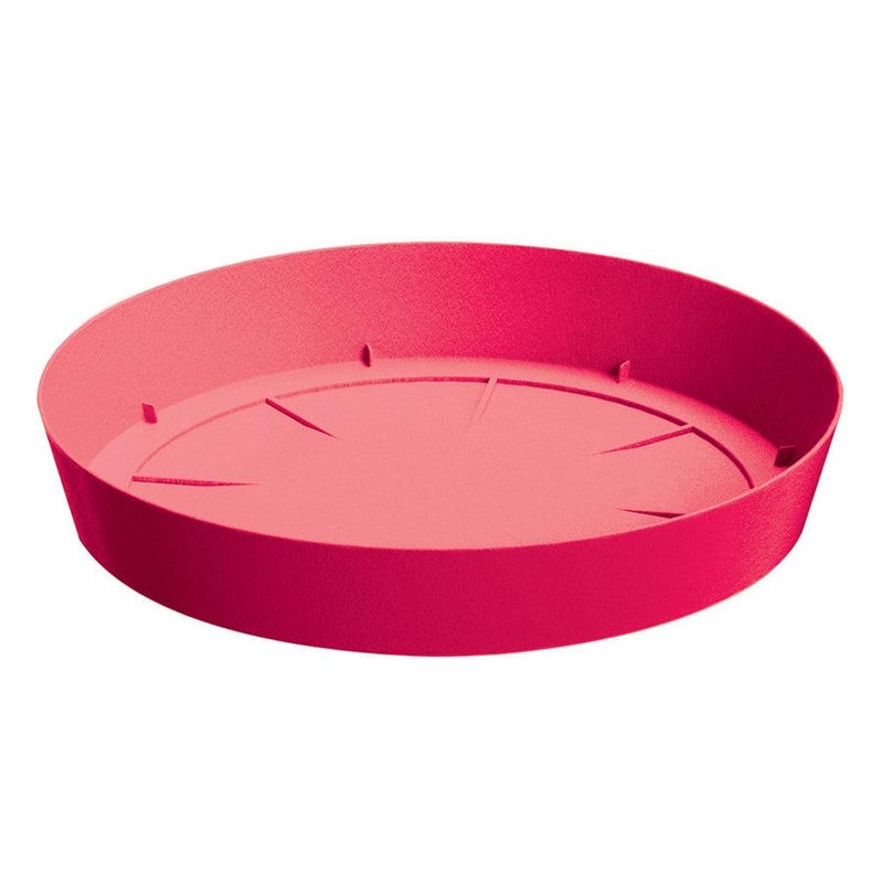 PLATO LOFLY 27 CM - Tumatera.co