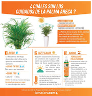 COMBO TUBUS 76 CM CON PALMA ARECA - Tumatera.co