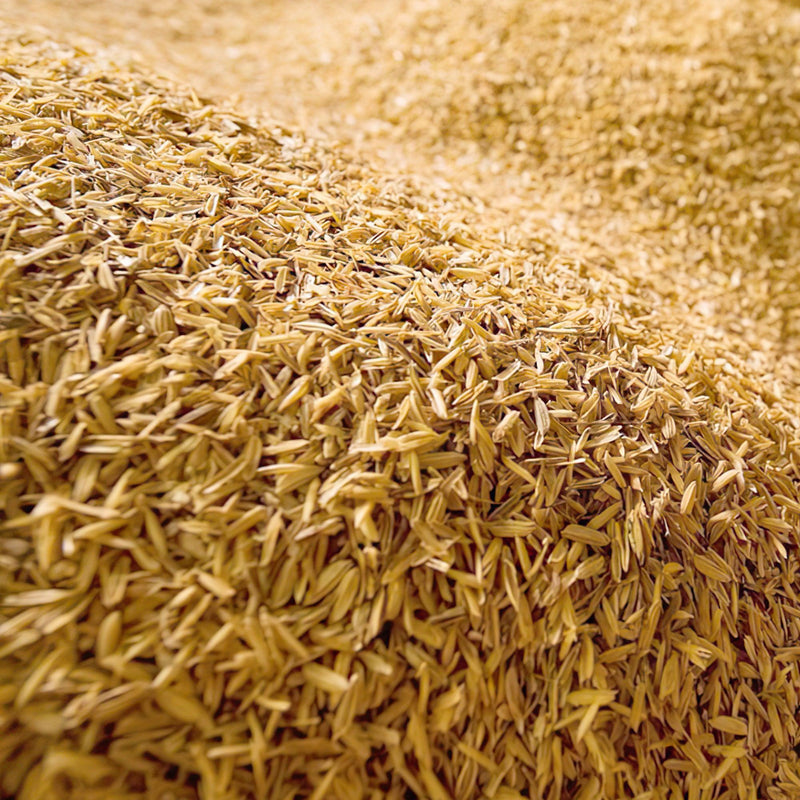 CASCARILLA DE ARROZ x 300 G - Tumatera.co