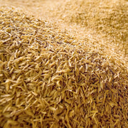 CASCARILLA DE ARROZ X 1 KG - Tumatera.co