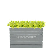 COMBO JARDINERA CEMENTO ACANALADA 100 X 60 CM CON DURANTAS- Tumatera.co