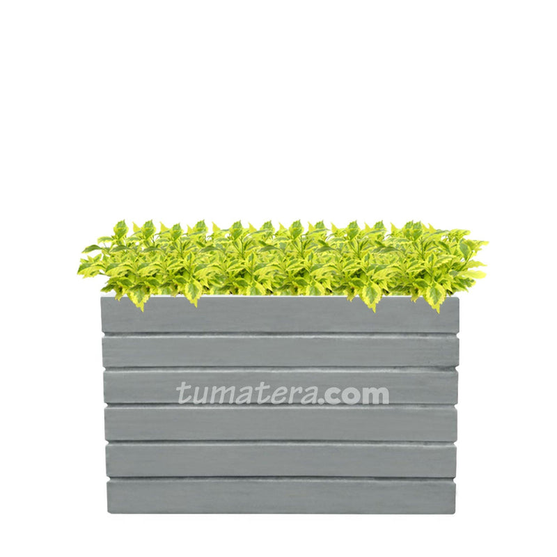 COMBO JARDINERA CEMENTO ACANALADA 100 X 60 CM CON DURANTAS- Tumatera.co