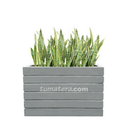 COMBO JARDINERA CEMENTO ACANALADA 100 X 60 CM CON SANSEVIERA- Tumatera.co