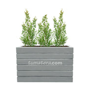 COMBO JARDINERA CEMENTO ACANALADA 100 X 60 CM CON EUGENIAS- Tumatera.co