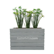 COMBO JARDINERA CEMENTO ACANALADA 100 X 60 CM CON PAPIROS- Tumatera.co