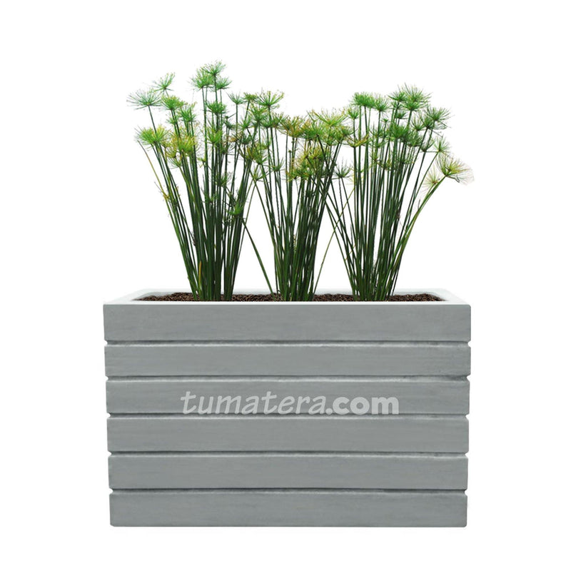 COMBO JARDINERA CEMENTO ACANALADA 100 X 60 CM CON PAPIROS- Tumatera.co