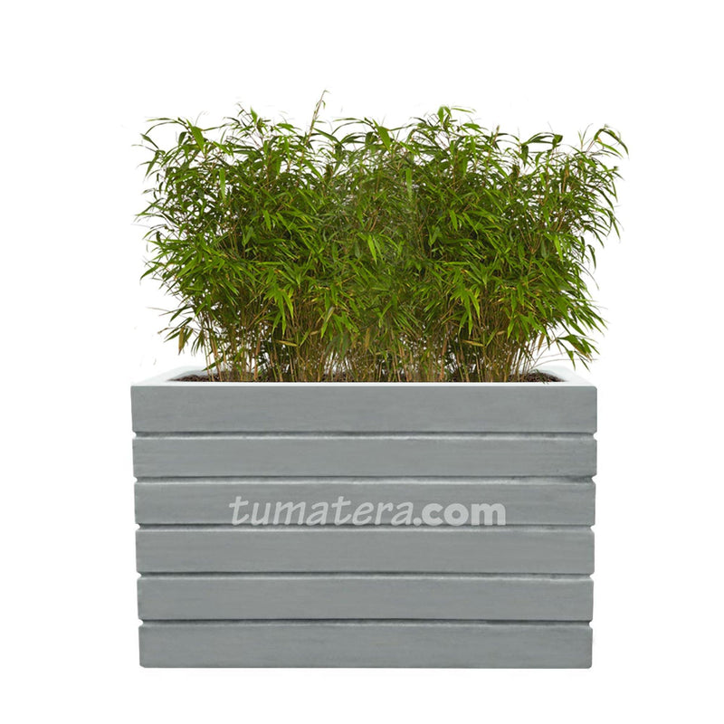 COMBO JARDINERA CEMENTO ACANALADA 100 X 60 CM CON BAMBÚS- Tumatera.co