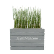 COMBO JARDINERA CEMENTO ACANALADA 100 X 60 CM CON EQUISETUM- Tumatera.co