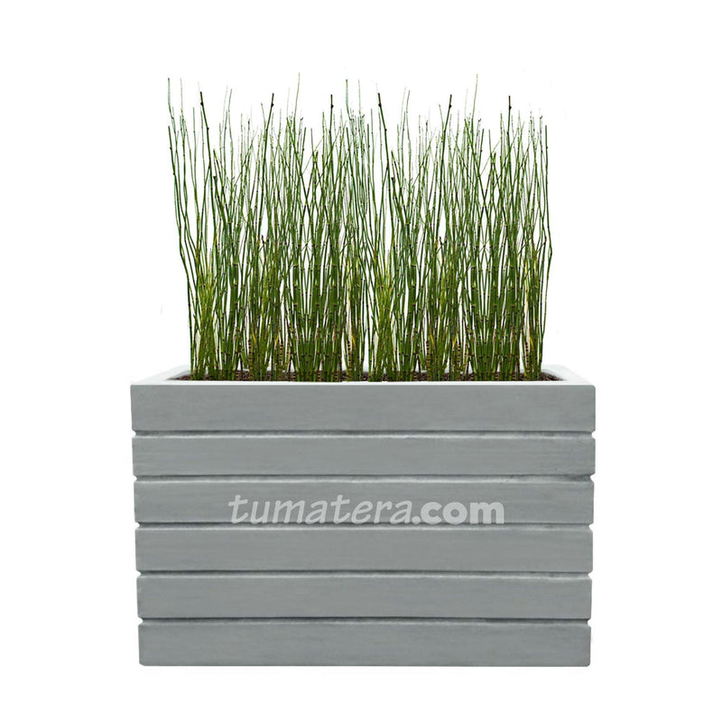 COMBO JARDINERA CEMENTO ACANALADA 100 X 60 CM CON EQUISETUM- Tumatera.co