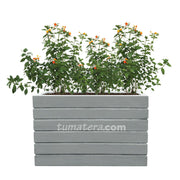 COMBO JARDINERA CEMENTO ACANALADA 100 X 60 CM CON PLANTA MERMELADA- Tumatera.co