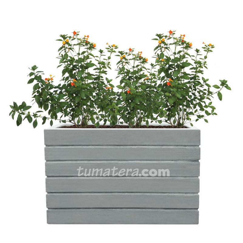 COMBO JARDINERA CEMENTO ACANALADA 100 X 60 CM CON PLANTA MERMELADA- Tumatera.co