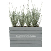 COMBO JARDINERA CEMENTO ACANALADA 100 X 60 CM CON PLANTA LAVANDA- Tumatera.co