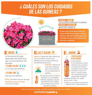 COMBO JARDINERA CEMENTO ACANALADA 100 X 60 CM CON FLORES- Tumatera.co