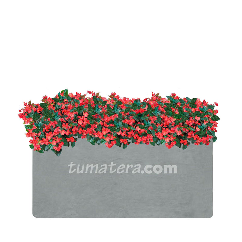 COMBO JARDINERA CEMENTO LISA 100 X 40 CM CON FLORES- Tumatera.co