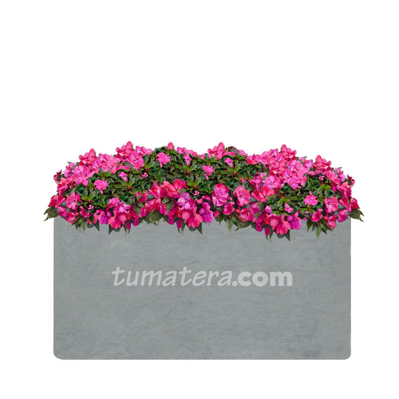 COMBO JARDINERA CEMENTO LISA 100 X 40 CM CON FLORES- Tumatera.co